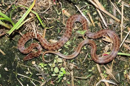 BIMGRP0000023792.jfif