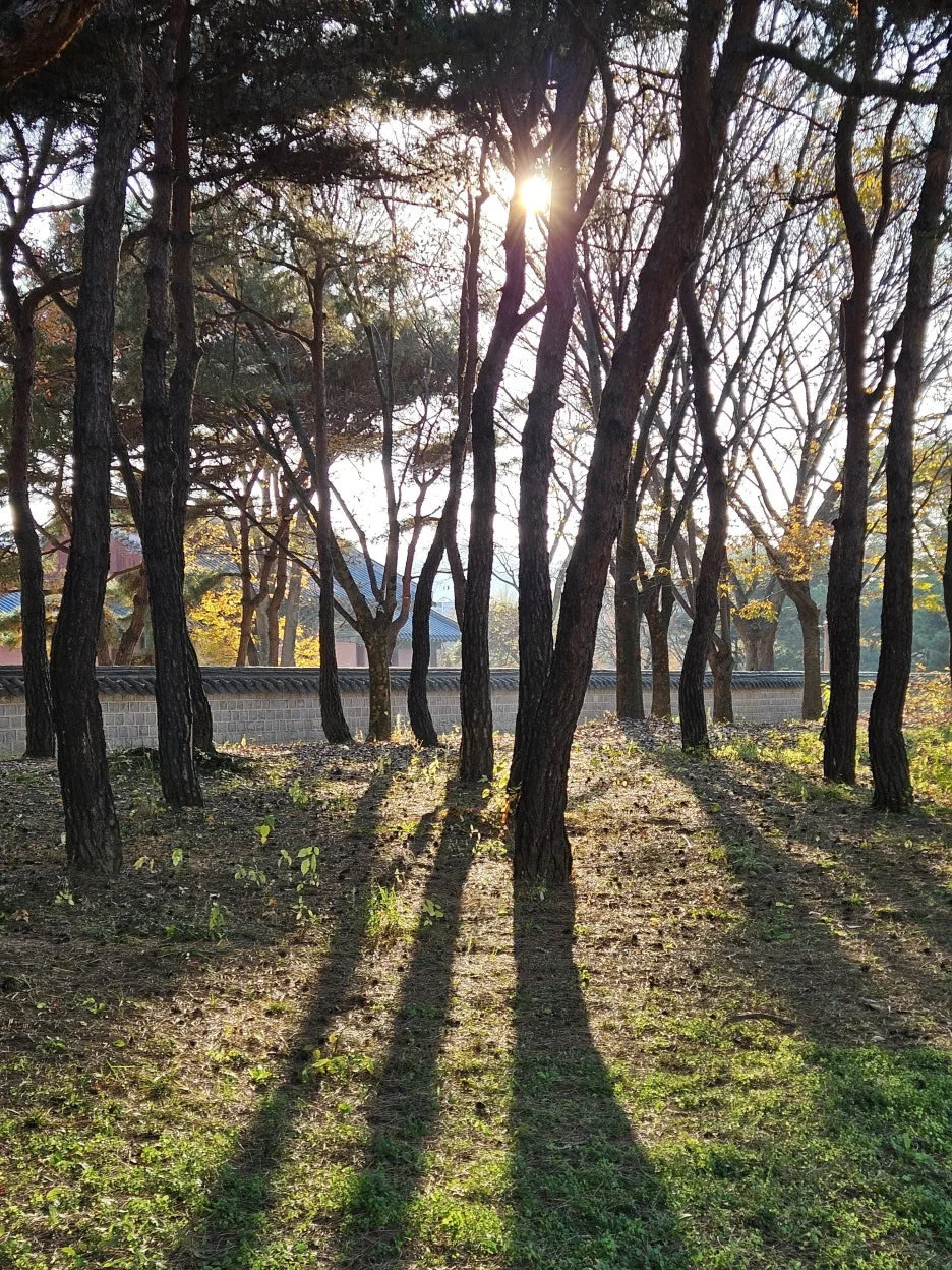 20241123_153836.jpg?type=w1