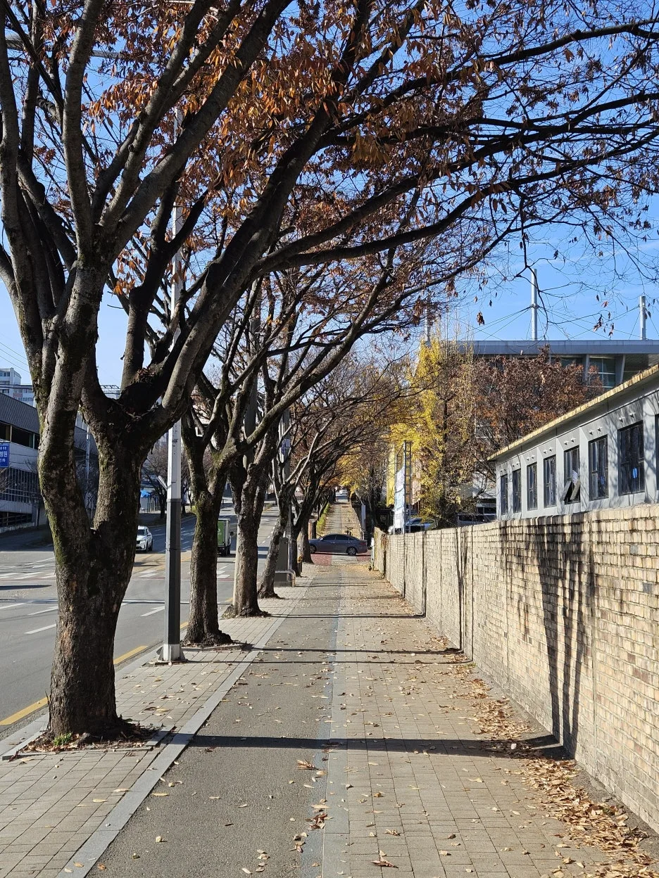 20241125_105641.jpg?type=w1