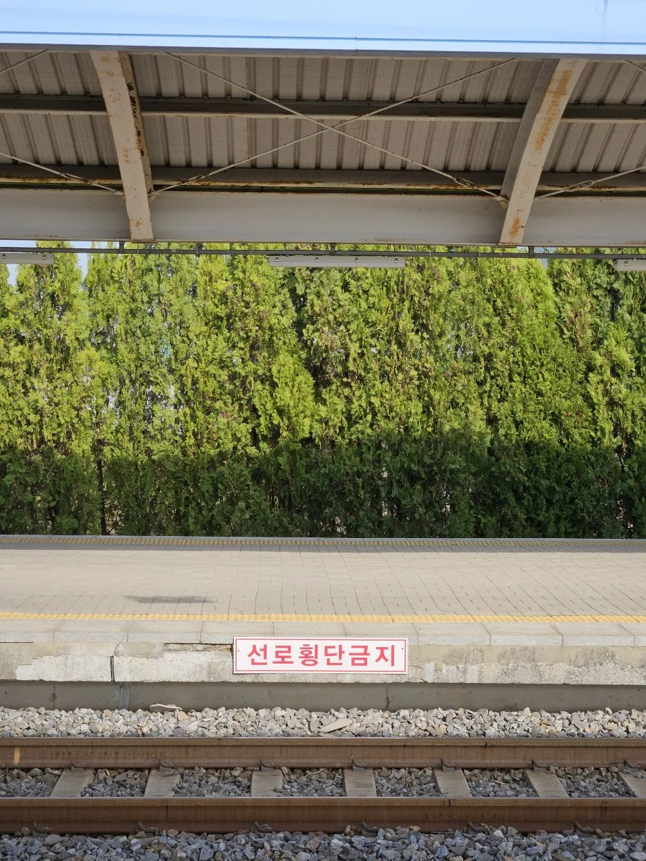 20241123_111031.jpg?type=w1