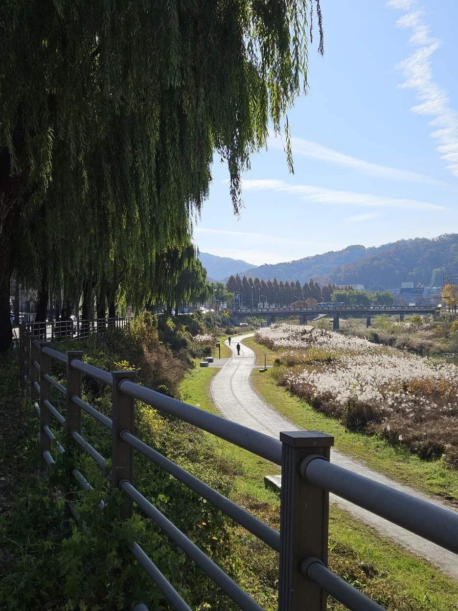 20241125_104819.jpg?type=w1