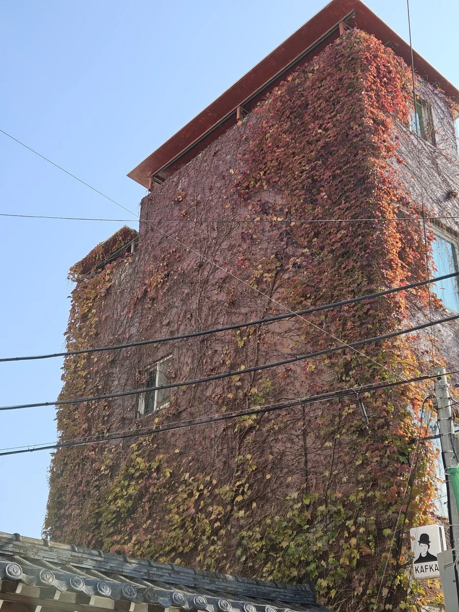 20241124_121135.jpg?type=w1