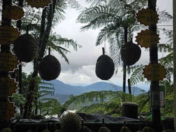 20240117%EF%BC%BF131822.jpg?type=w580