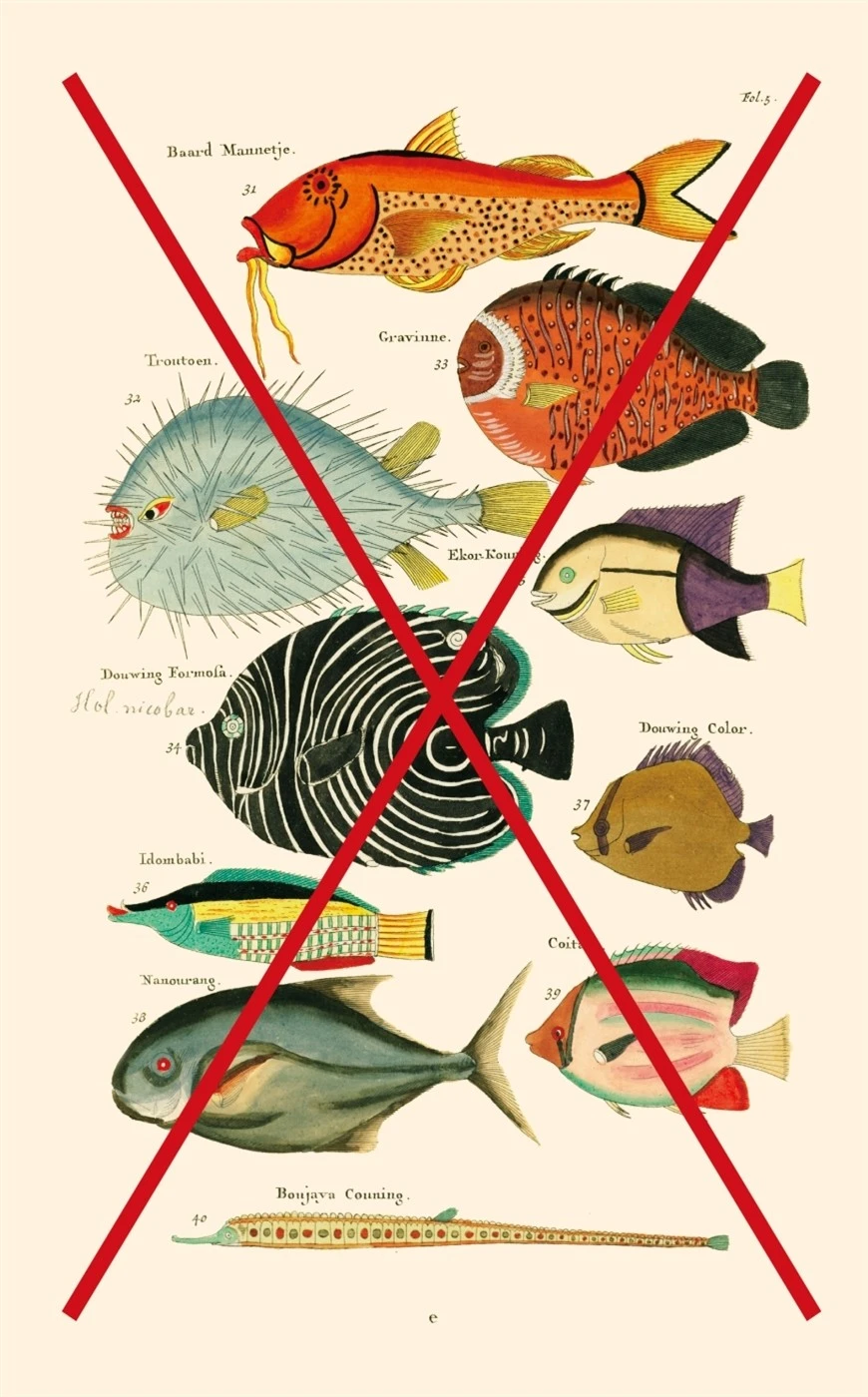 물고기는 존재하지 않는다.jpeg