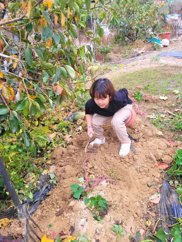 SE-8fbbc7ad-e5a5-473e-a59d-b5c27a941f79.jpg?type=w580