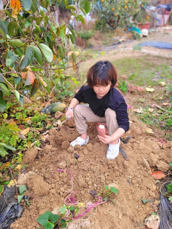 SE-bd1f3302-7eea-4c94-9d13-49186dc461c9.jpg?type=w580