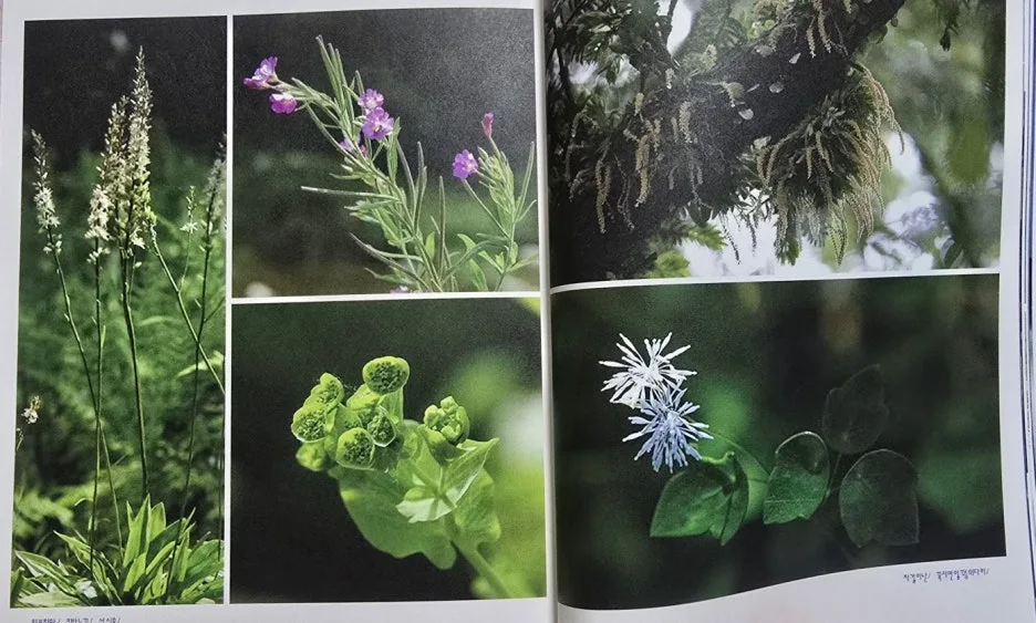 KakaoTalk_20250102_081355797_04.jpg?type=w1