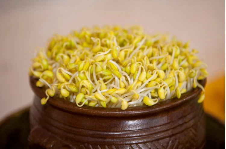 IMG_8172.jpeg?type=w773