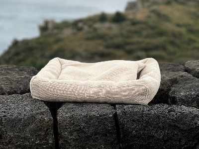 KakaoTalk_Photo_2024-12-02-11-34-18 001.jpeg