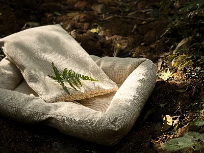 KakaoTalk_Photo_2024-11-26-14-32-02 003.jpeg