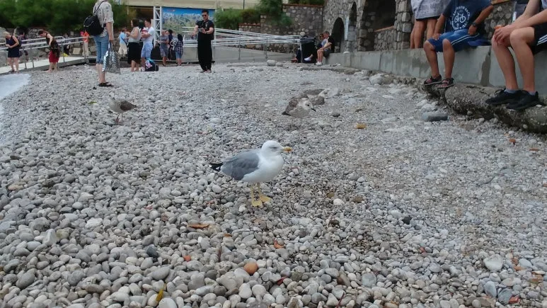 20180815_141620.jpg?type=w773