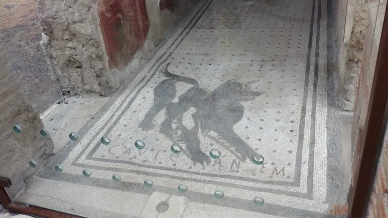 20180815_094428.jpg?type=w773