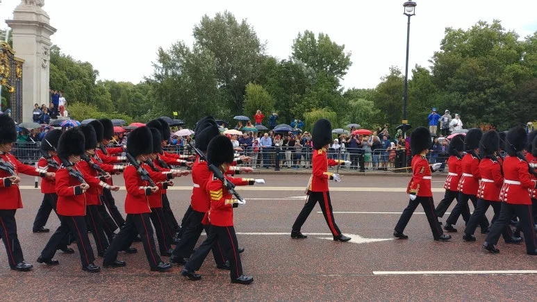 20180810_113237.jpg?type=w773