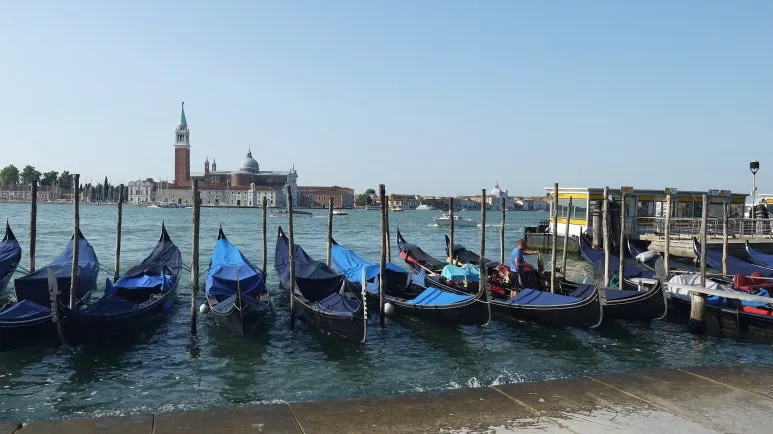 20180818_085419.JPG?type=w773