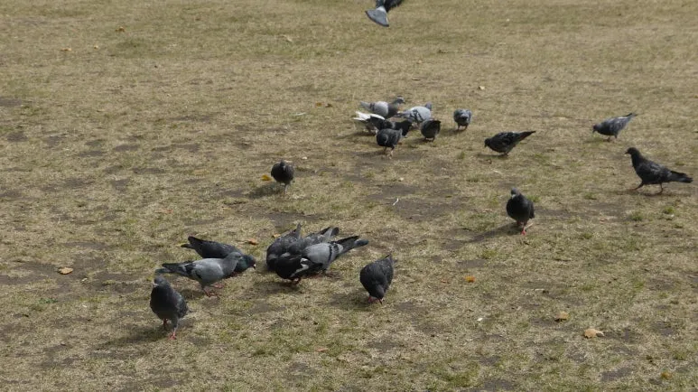 20180810_105047.JPG?type=w773