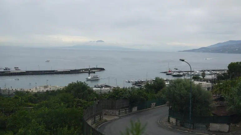 20180815_121224.JPG?type=w773