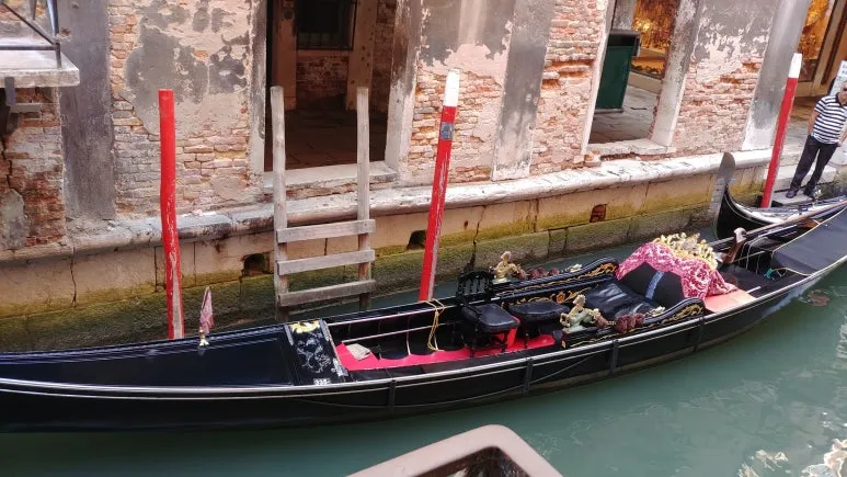 20180818_103745.jpg?type=w773