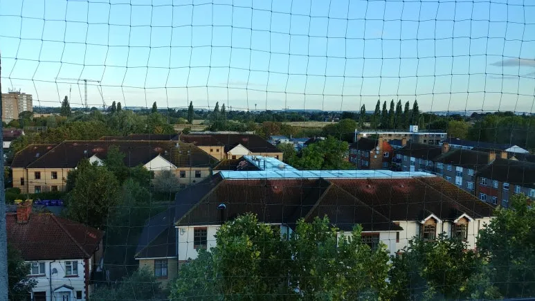 20180810_064817.jpg?type=w773