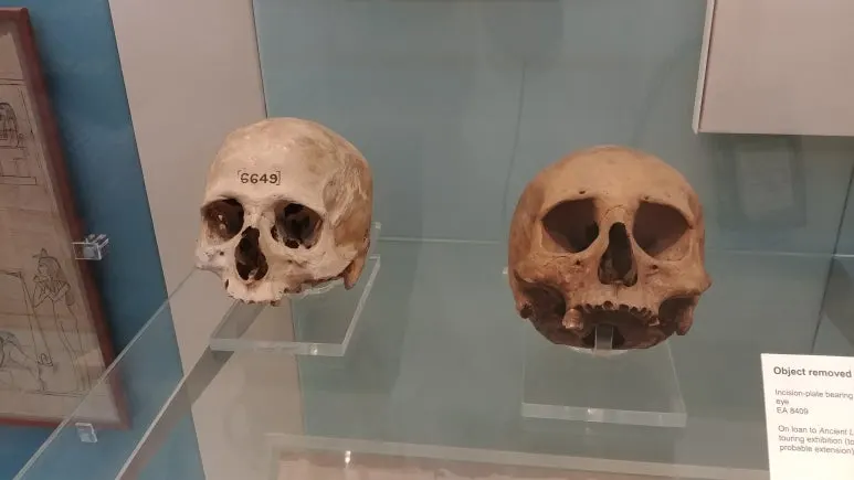 20180810_151145.jpg?type=w773