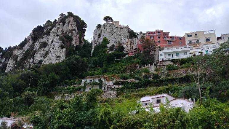 20180815_121402_HDR.jpg?type=w773