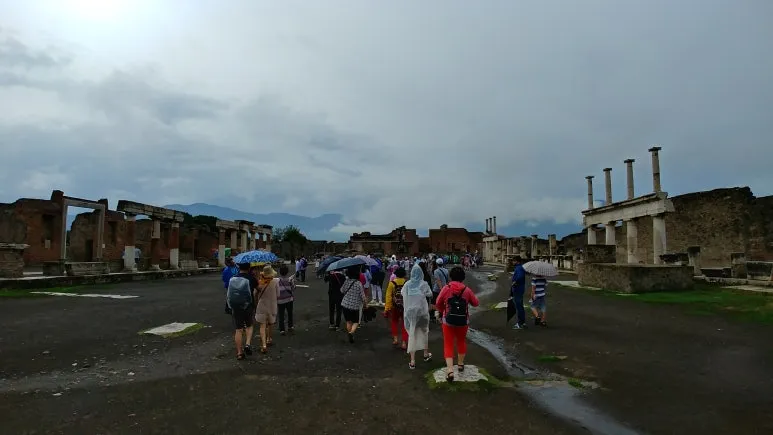 20180815_095331.jpg?type=w773