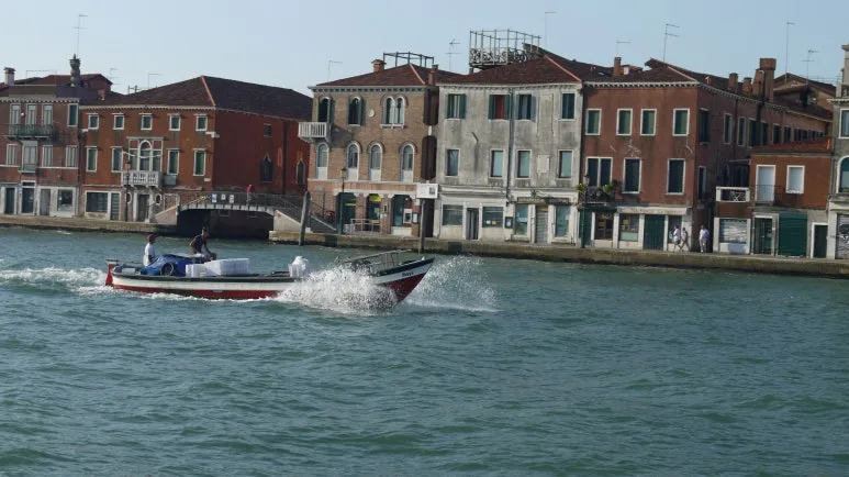 20180818_081541.JPG?type=w773