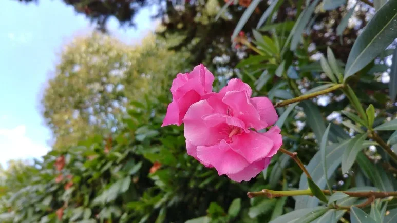 20180814_140020_HDR.jpg?type=w773