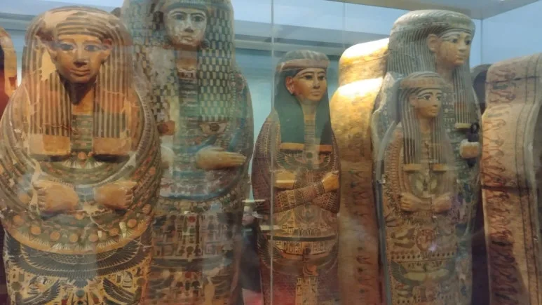 20180810_151242.jpg?type=w773