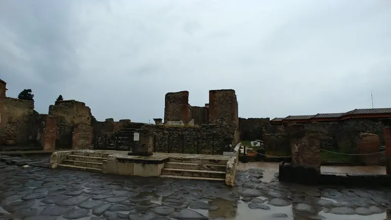 20180815_093452.jpg?type=w773