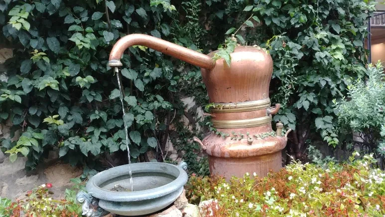 20180815_124354_HDR.jpg?type=w773