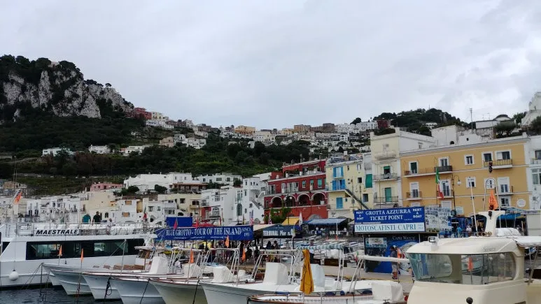 20180815_115831_HDR.jpg?type=w773