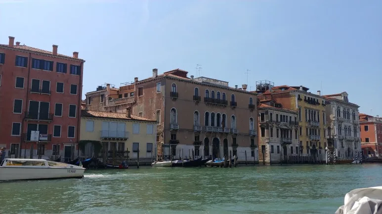 20180818_112911.jpg?type=w773