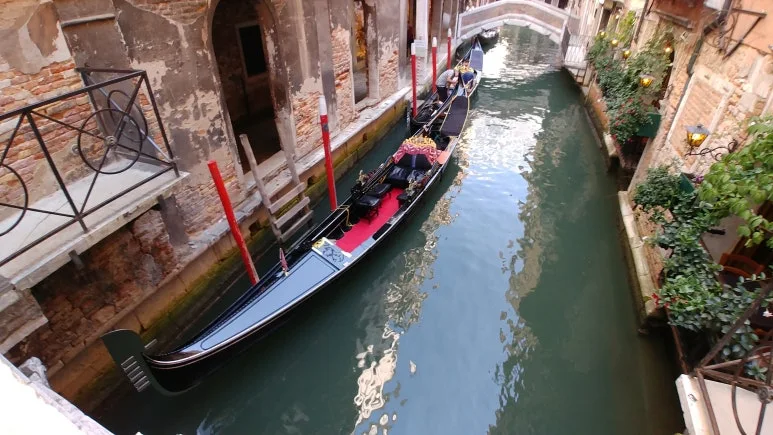 20180818_103823.jpg?type=w773