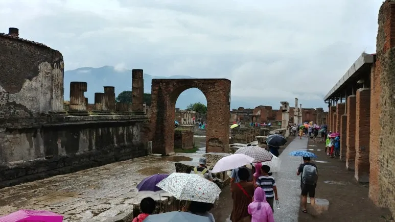 20180815_095123.jpg?type=w773