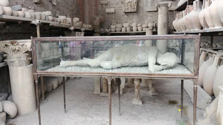 20180815_095249.jpg?type=w773