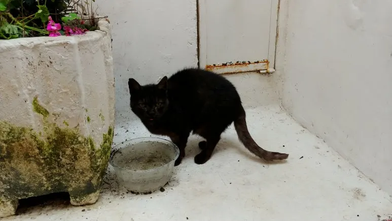 20180815_122317.jpg?type=w773