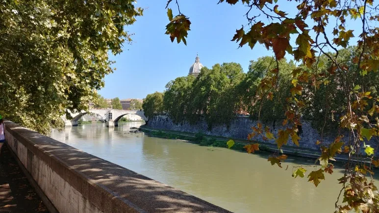 20180816_104554_HDR.jpg?type=w773