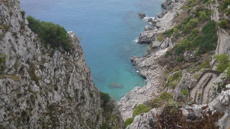 20180815_123624.JPG?type=w773