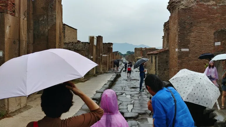 20180815_094910.jpg?type=w773