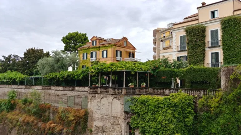 20180815_110146_HDR.jpg?type=w773