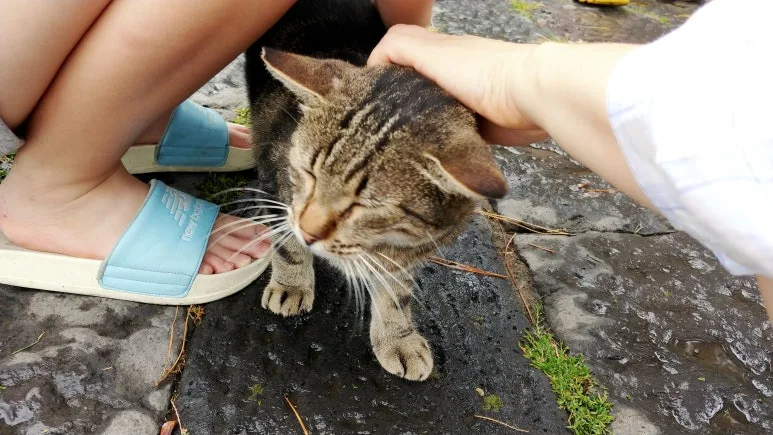 20180815_111512.jpg?type=w773