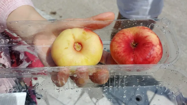 20180814_125219.jpg?type=w773