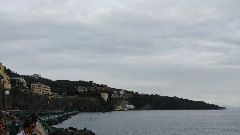 20180815_111039.jpg?type=w773