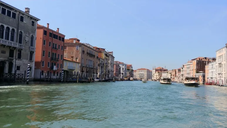 20180818_112846.jpg?type=w773