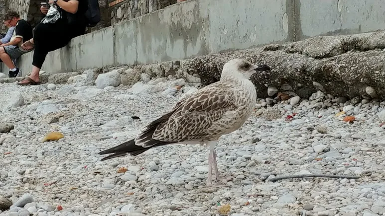 20180815_141936.jpg?type=w773