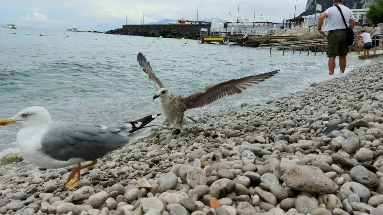 20180815_142012.jpg?type=w773