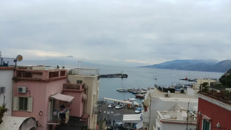 20180815_121154.jpg?type=w773