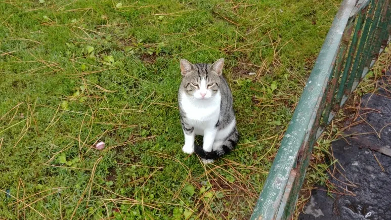 20180815_111440.jpg?type=w773