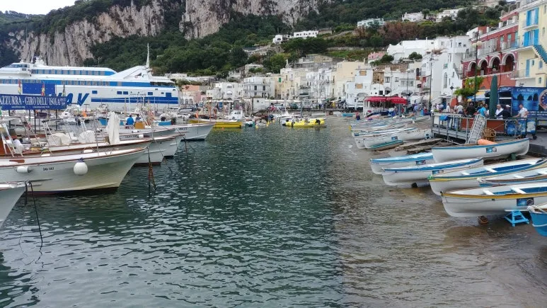 20180815_115904.jpg?type=w773