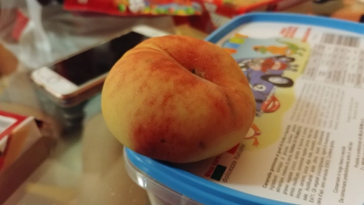 20180814%EF%BC%BF221840.jpg?type=w773